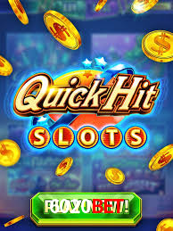 App 6020Bet
